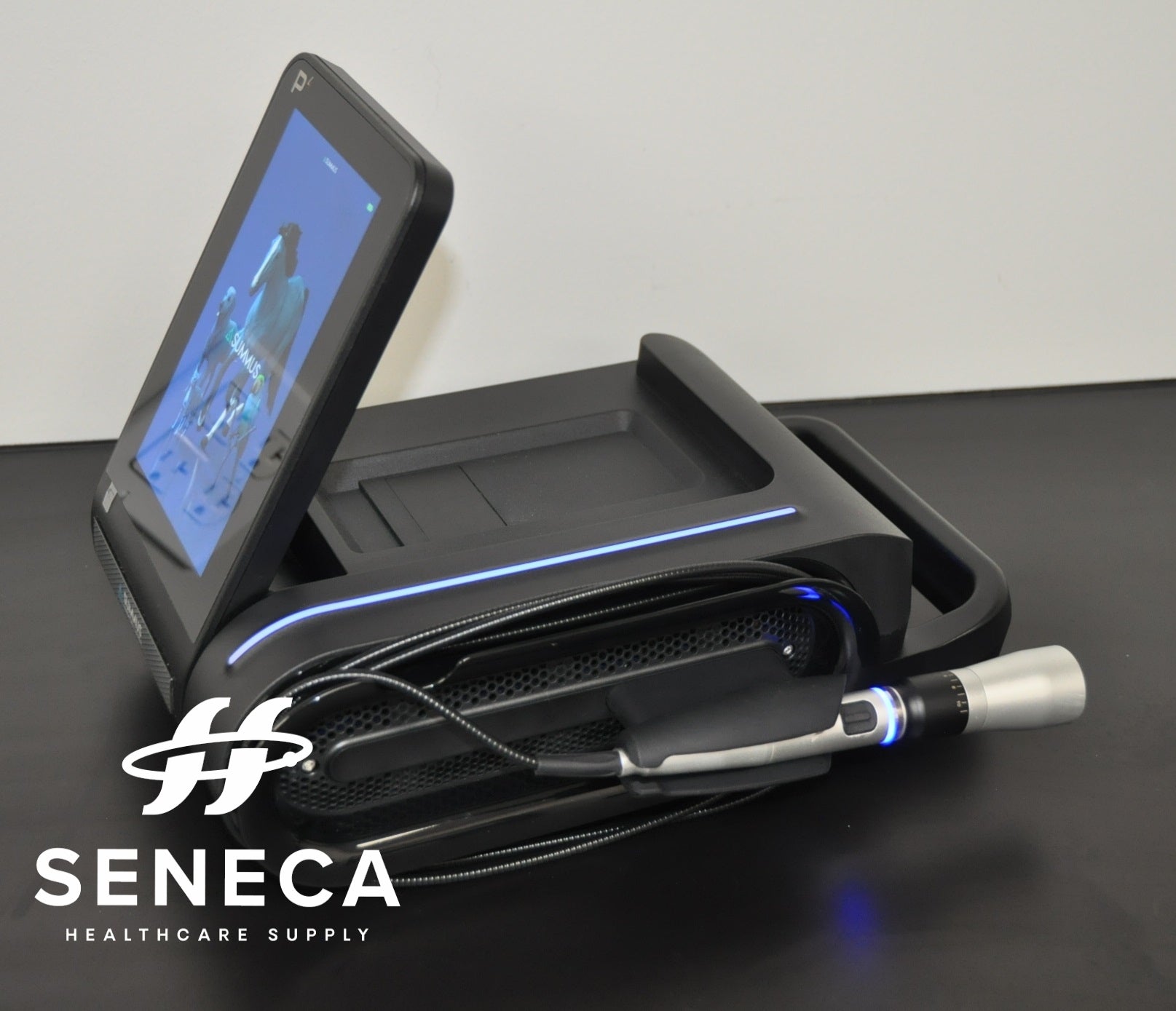 SUMMUS P4 24W VETERINARY THERAPY LASER CLASS 4 IV